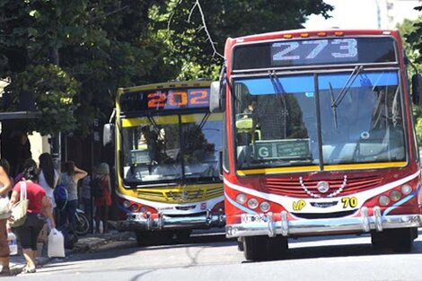 Jorge D'Onofrio: "Muchos aplauden la motosierra, pero le piden gasa y sutura al Gobierno provincial"  