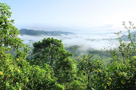 Una reserva natural en peligro en la Amazonía peruana