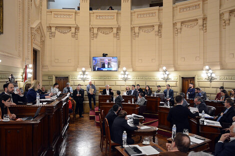 Sólo los senadores del peronismo votaron en contra de la iniciativa