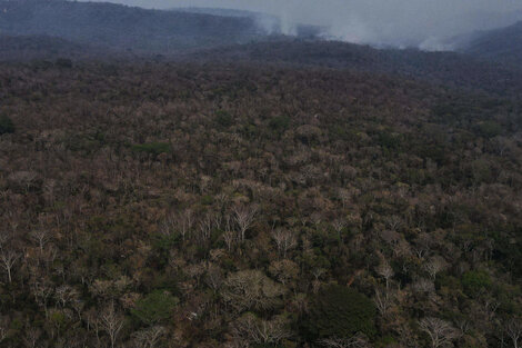 Bolivia declara la emergencia nacional por los incendios