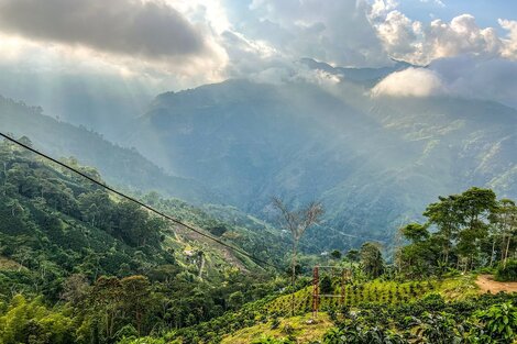 Colombia, el país más peligroso para los líderes ambientalistas