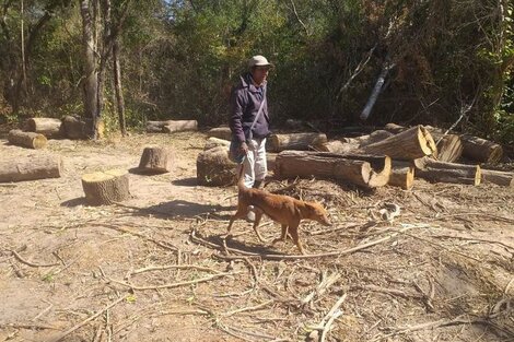 Una jueza ordenó dejar a los wichis en paz