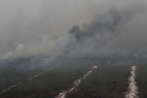 Ya son más de 184 mil las hectáreas afectadas por los incendios forestales en Paraguay