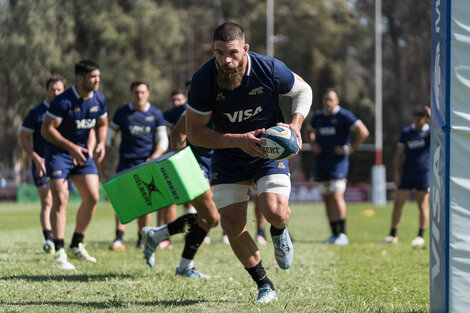 Rugby Championship: Los Pumas abren la serie ante Sudáfrica en Santiago del Estero