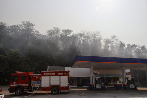 Los incendios en Brasil provocaron la mayor emisión de carbono en dos décadas