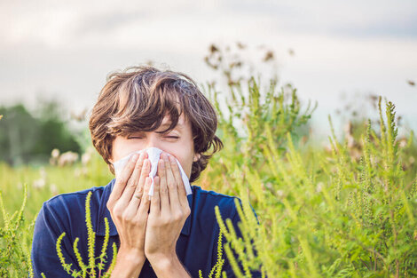 Llegó la primavera y también las alergias: tips de cuidados respiratorios