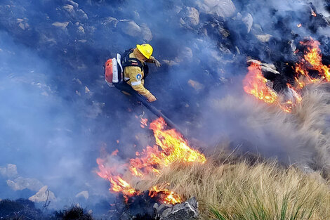 “El origen del incendio hay que investigarlo, pero en el 95 por ciento de los casos es humano”