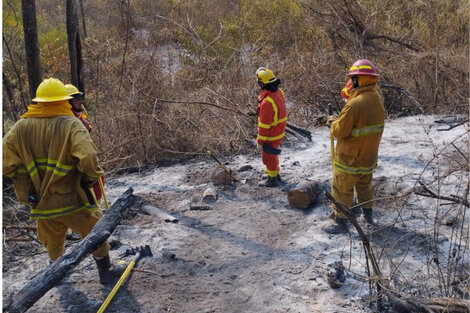 Media sanción para un Sistema Provincial de Manejo del Fuego