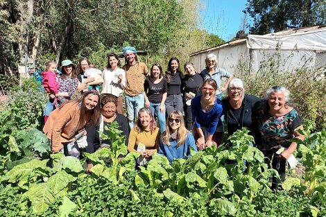 Hay programas para familias productoras en el sur de Santa Fe. 