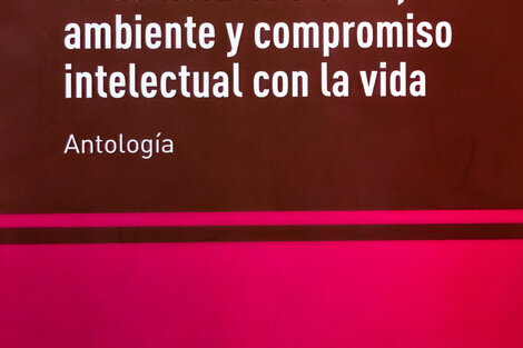 El 16 de octubre a las 18hs se presenta la antología en el Instituto de Investigaciones Gino Germani. (Fuente: Imagen web)