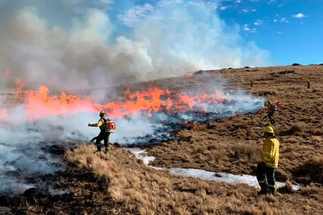 Emergencia ambiental en Córdoba por los incendios