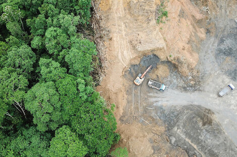 Exportaciones y deforestación