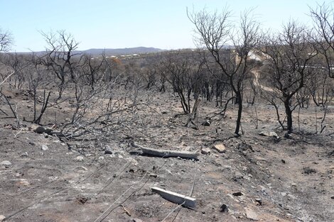 Incendios en Córdoba: con menor intensidad, continúa activo el foco en la Quebrada de la Mermela