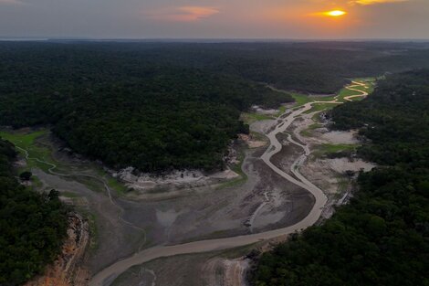 Mínimos históricos para el río Negro, el mayor afluente del río Amazonas