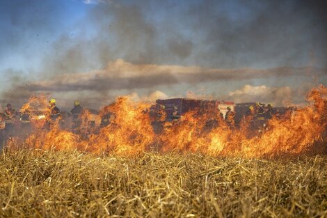 Suspenden vuelos en Bolivia por el humo de los incendios forestales 