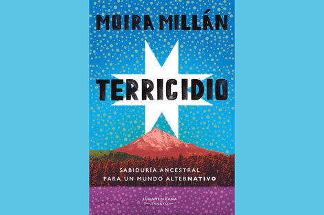 La lucha permanente de Moira Millán (Fuente: Gentileza)