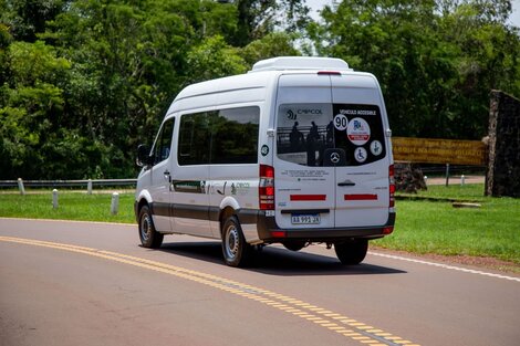 Una empresa de turismo de Iguazú pagó $20 millones por atropellar y matar a una yaguareté