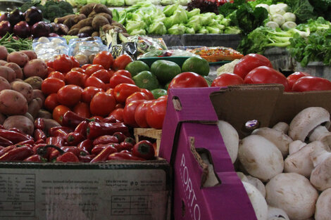 De a poco, la agricultura familiar gana presencia en el mercado de alimentos. (Fuente: Bernardino Avila)