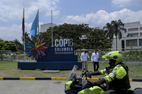 El fondo para preservar la biodiversidad aumentó 400 millones de dólares  