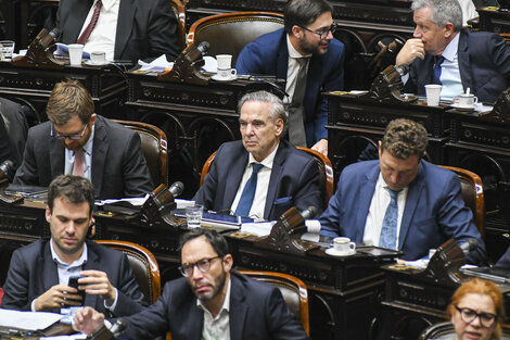 El bloque de Miguel Ángel Pichetto es el que impulsa la iniciativa, a pesar de que él no la votaría.