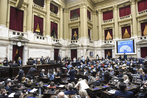 La Cámara de Diputados debatirá la semana próxima la ley de DNU.