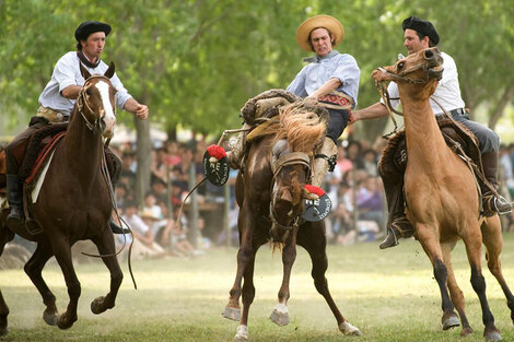 Provincia gaucha y criolla