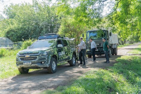 Fueron revisados en Granja La Esmeralda