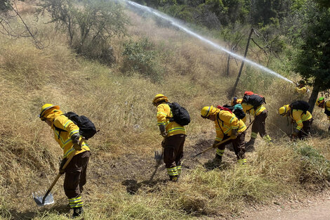 Chile lanza un plan para prevenir los incendios forestales