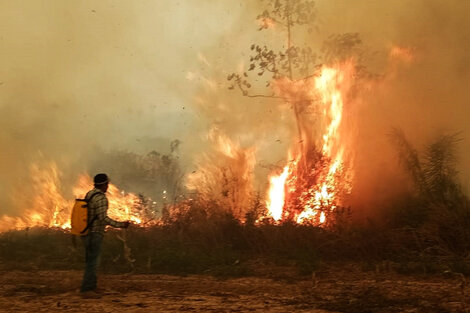 Bolivia sufre la “mayor crisis ambiental” de su historia por los incendios 