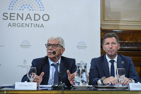 El ministro Cuneo Libarona en el Senado.