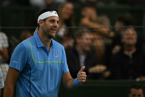 Del Potro, feliz en su partido despedida frente a Nole.