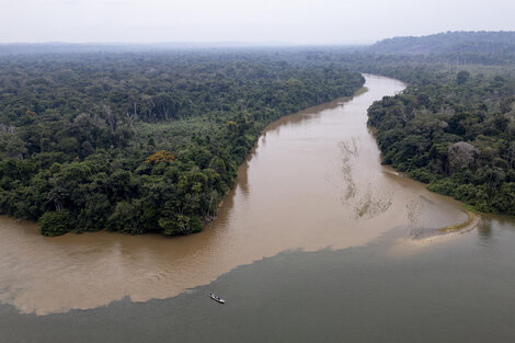 Brasil avanza en la homologación de tierras indígenas