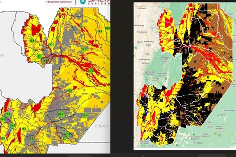 Salta quiere aprobar el ordenamiento de bosques antes de fin de año