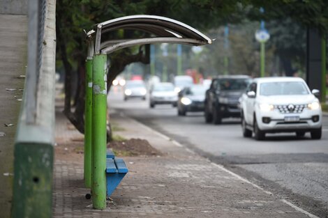 Dos líneas de colectivo están de paro: denuncian violencia contra los choferes