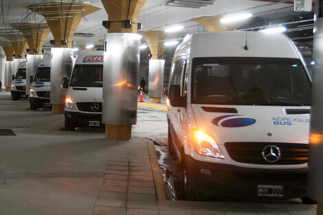 Con un trámite web y sin controles se podrán prestar servicios de transporte público de pasajeros.