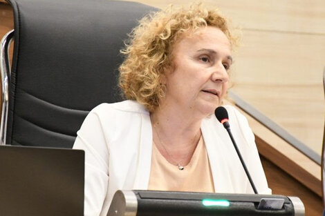 Concejala Alicia Pino, autora del proyecto