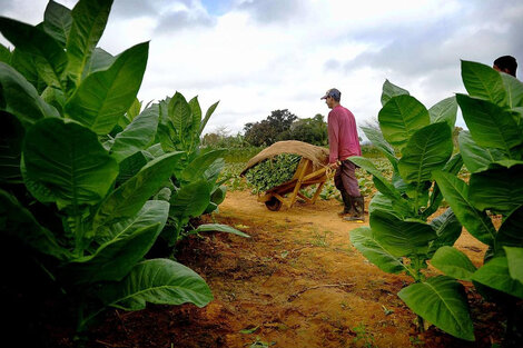 Los precios mayoristas aumentaron 1,4 por ciento en noviembre