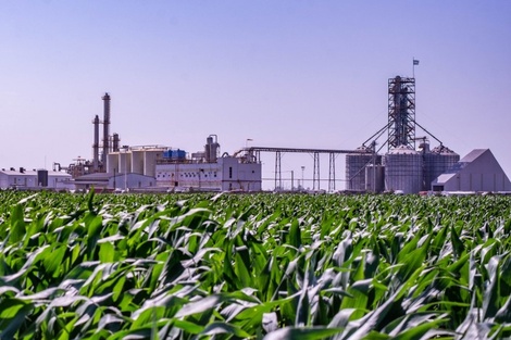 La medida beneficia a las aceiteras productoras de biocombustibles.