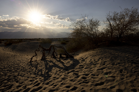 Las temperaturas globales en 2024 estuvieron 1,28 grados por encima de los registros del siglo XX