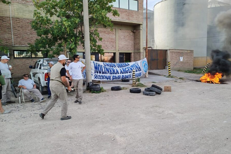 Los trabajadores de molina Bajo Hondo, en estado de alerta. 