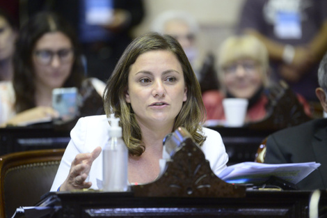 La diputada Vanesa Siley apuntó contra 