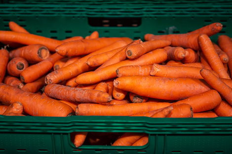 Los productores de zanahorias solo se llevan el 9,8 por ciento del precio de venta.