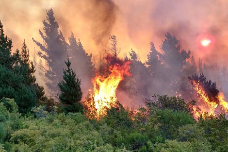 El fuego sigue, y sigue en Chubut.