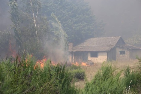 Los incendios en la Patagonia ya consumieron más de 11.000 hectáreas