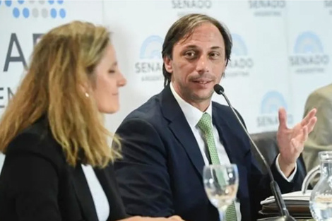 Santiago Castro Videla en una reunión de comisión en el Senado.