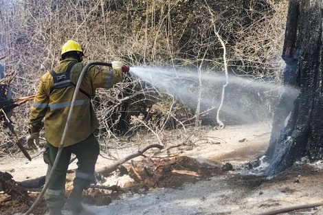 El fuego queda latente en los troncos.