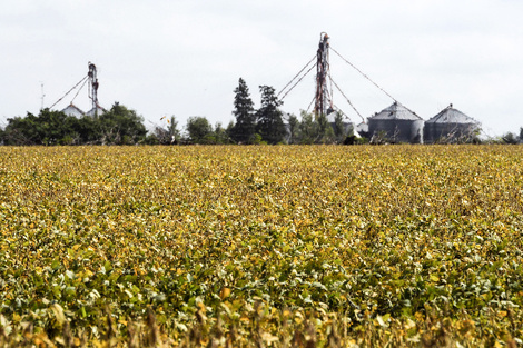 El sector agroexportador respaldó la medida (Fuente: AFP)