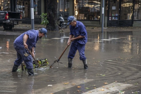 Árboles caidos, calles anegadas y destrozos por el temporal en Rosario