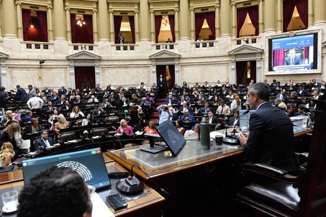 Los diputados por Salta votaron por la suspensión de las PASO