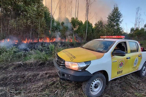 Corrientes también sufre los incendios.